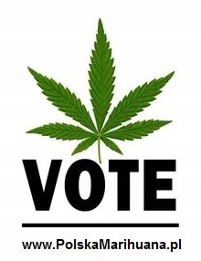 Polska Marihuana cannabis vote cbd hhc cbg thc organic