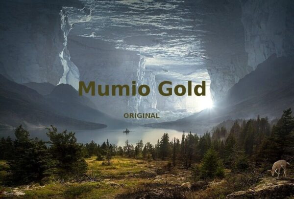 Oryginalny Shilajit MUMIO GOLD żywe mumio Ałtajskie z Gór Ałtaju - 100g FV